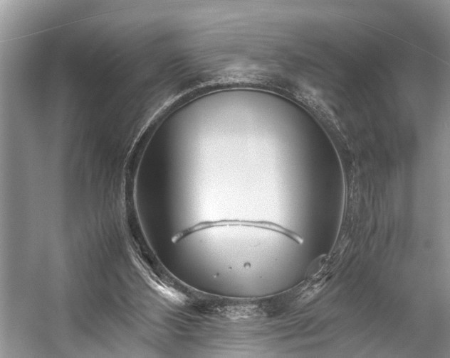 X0000057060108200509161502