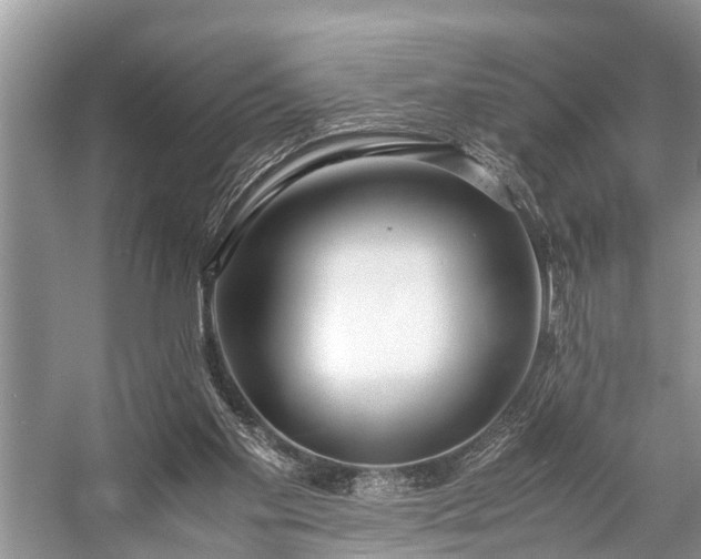 X0000057060109200509161502