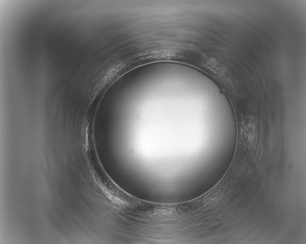 X0000057060110200509161502