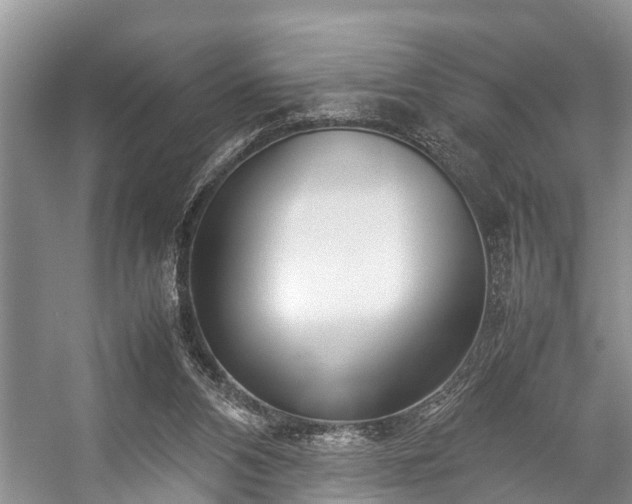 X0000057060112200509161502