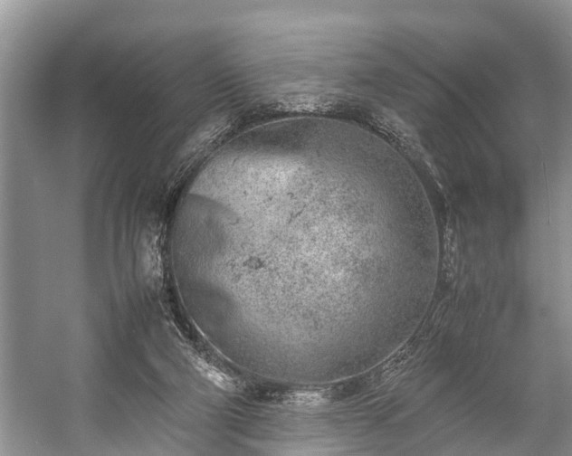 X0000057060114200509161502