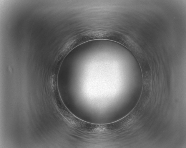 X0000057060119200509161502