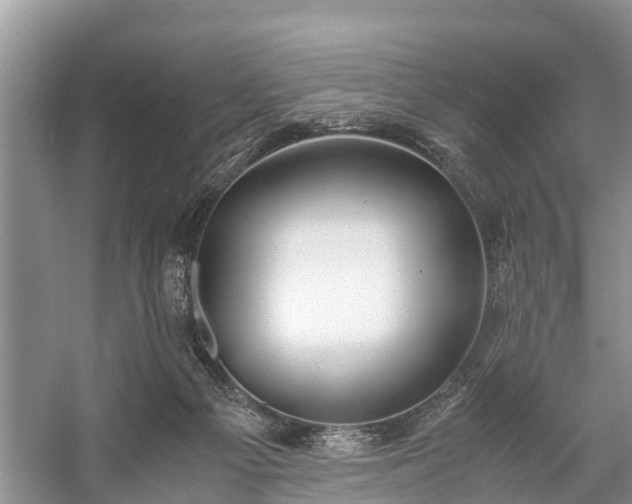 X0000057060121200509161502