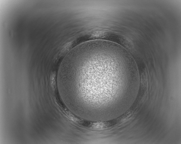 X0000057060127200509161502