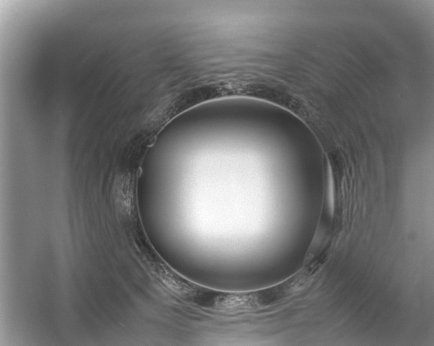 X0000057060129200509161502