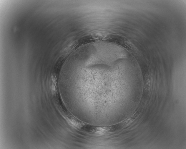 X0000057060130200509161502