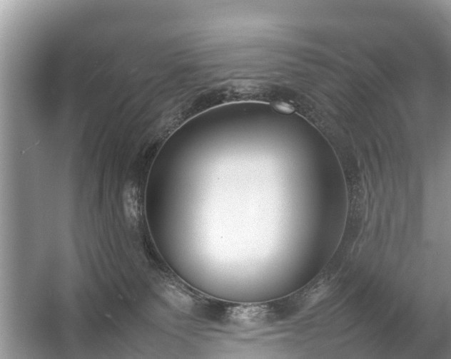 X0000057060135200509161502