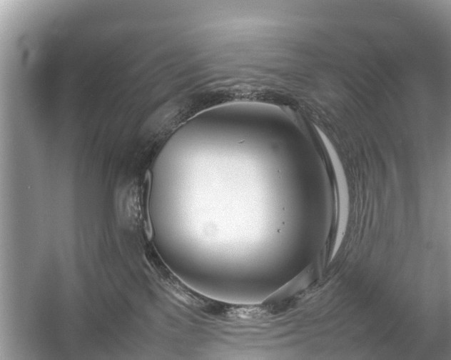 X0000057060137200509161501