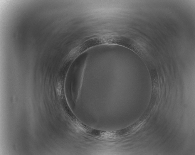 X0000057060139200509161501