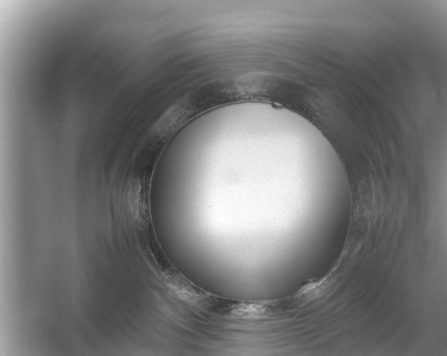 X0000057060140200509161501