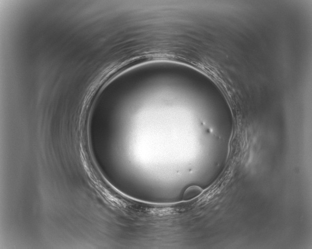 X0000057060145200509161501