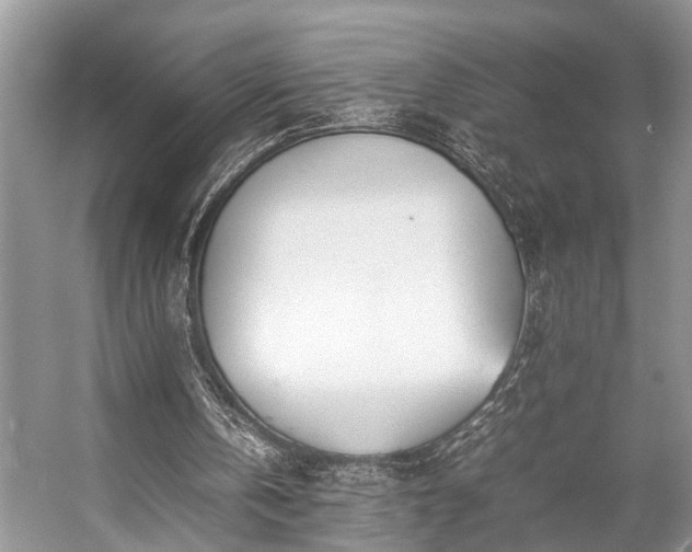 X0000057060146200509161501