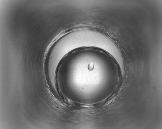 X0000057060150200509161501