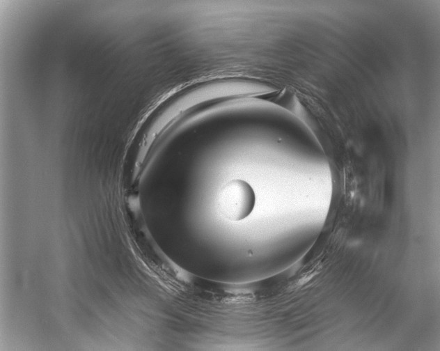 X0000057060156200509161501