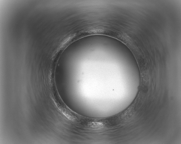 X0000057060159200509161501