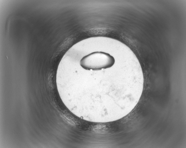 X0000057060162200509161501