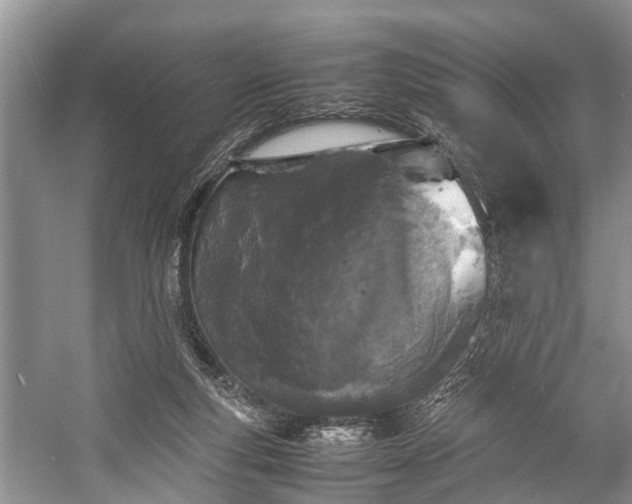 X0000057060163200509161501