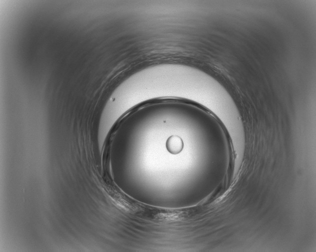 X0000057060170200509161501