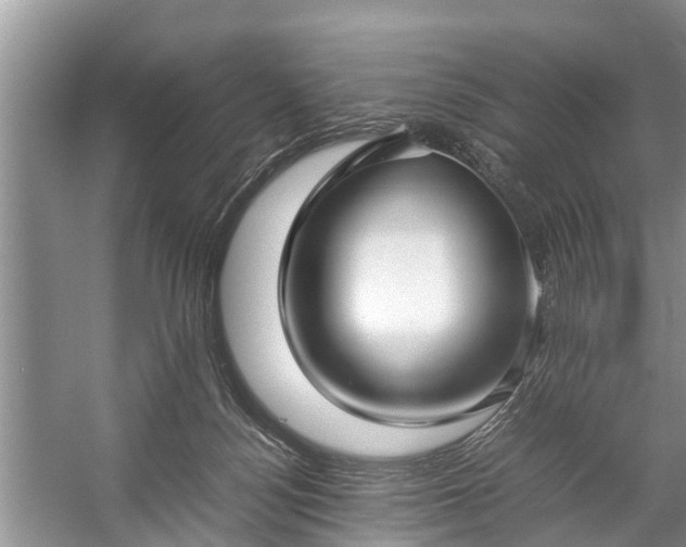 X0000057060172200509161501