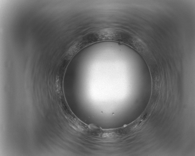 X0000057060173200509161501