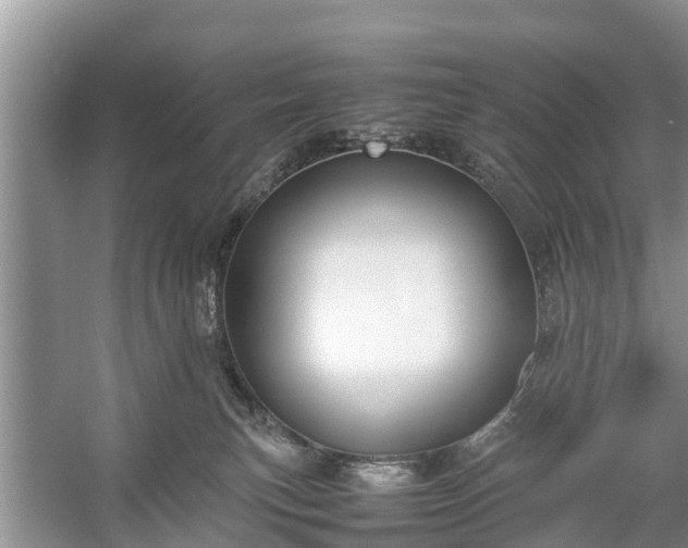 X0000057060183200509161501