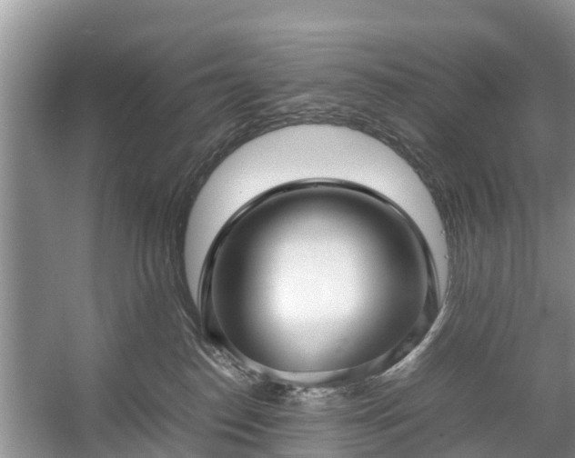 X0000057060186200509161501