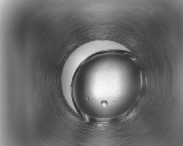 X0000057060188200509161501