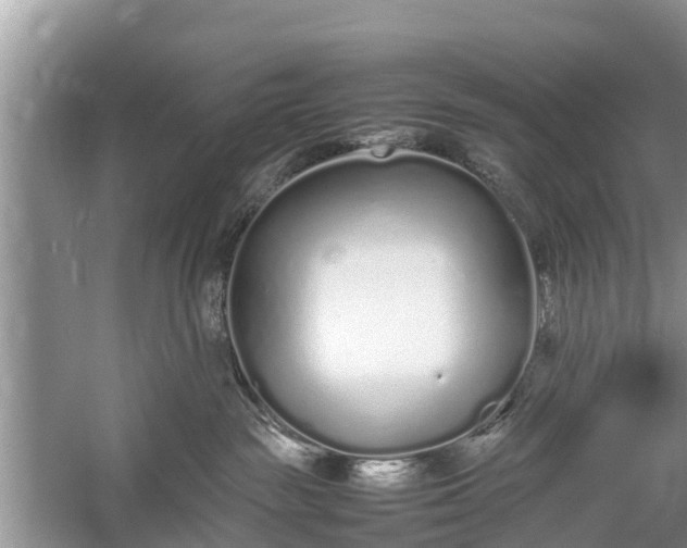 X0000057060189200509161501