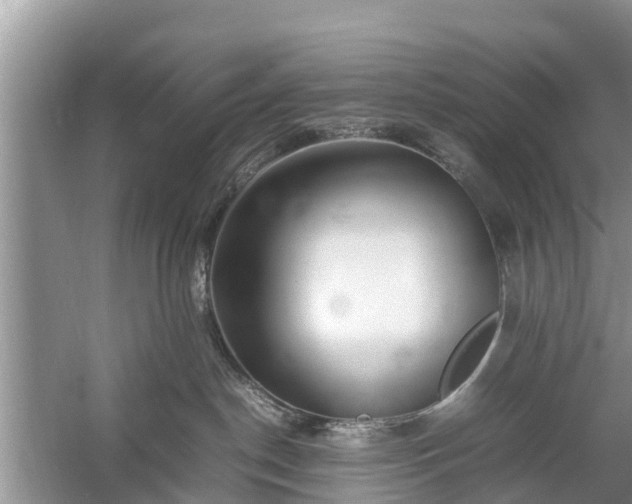 X0000057060190200509161501