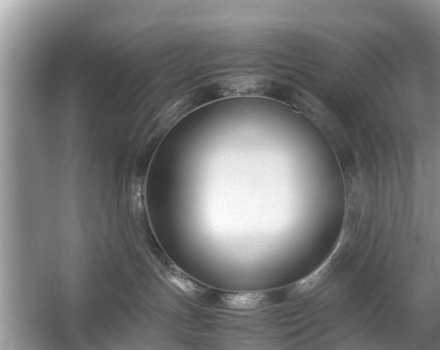 X0000057060191200509161501