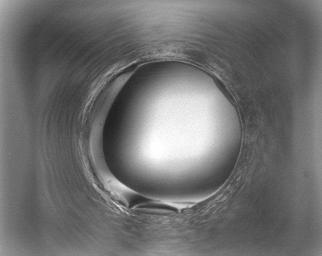 X0000057060193200509161501