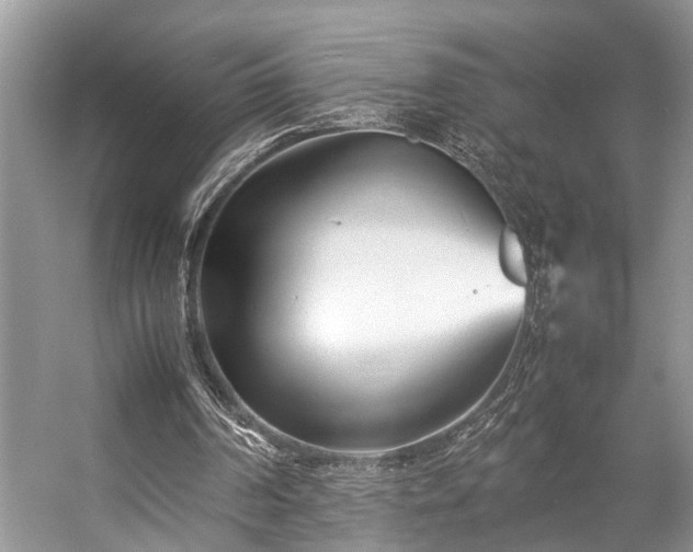 X0000057060194200509161500