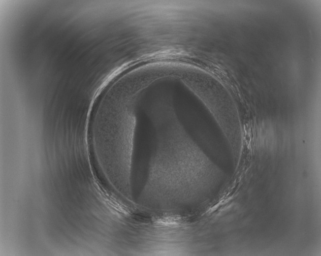 X0000057060196200509161500