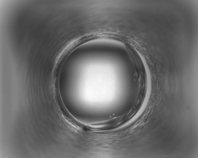 X0000057060197200509161500