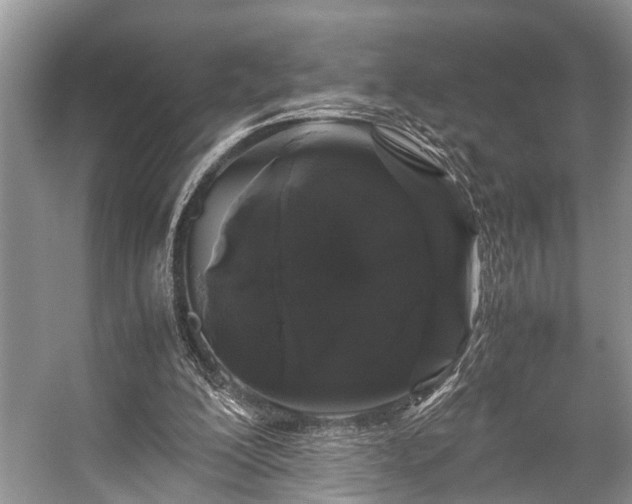 X0000057060200200509161500