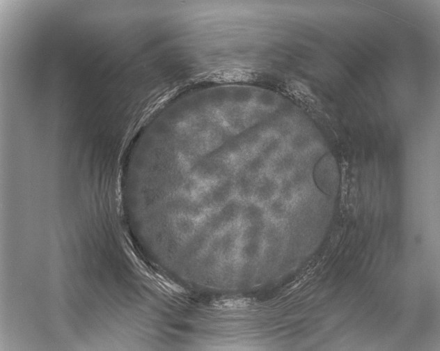 X0000057060202200509161500