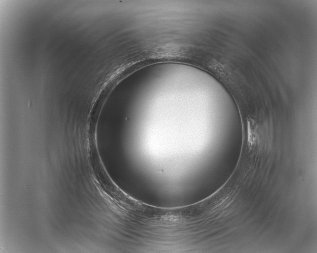 X0000057060204200509161500