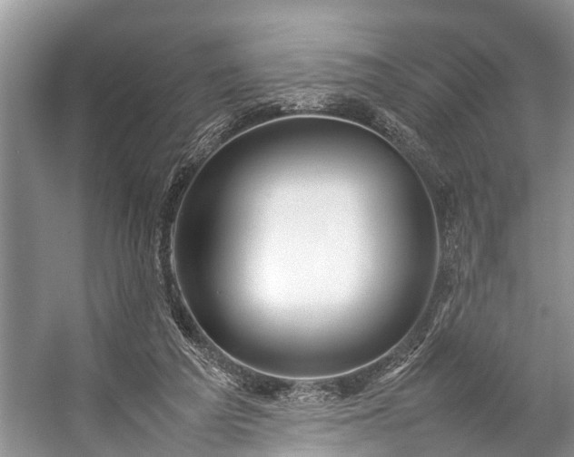 X0000057060209200509161500