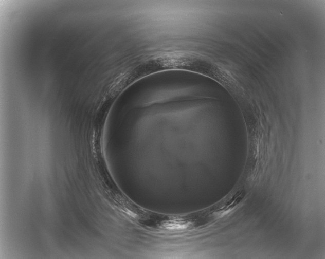 X0000057060219200509161500