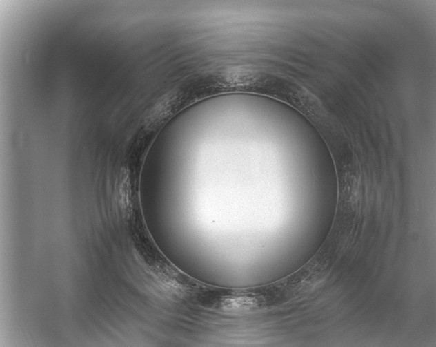 X0000057060220200509161500