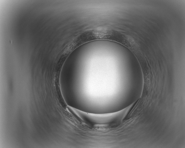 X0000057060221200509161500