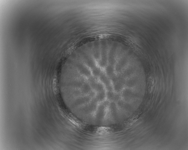 X0000057060222200509161500