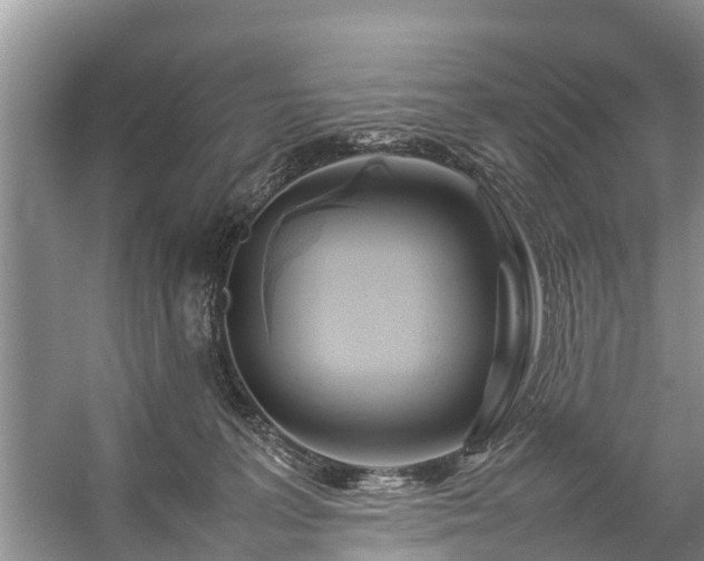 X0000057060227200509161500