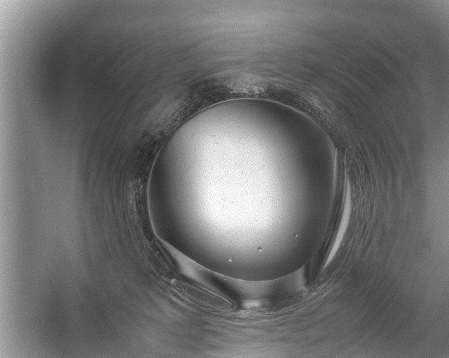 X0000057060229200509161500