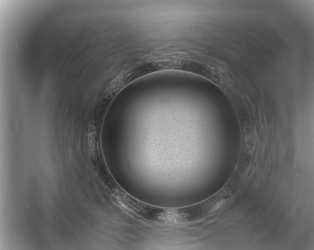 X0000057060231200509161500