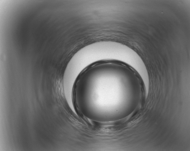 X0000057060237200509161500