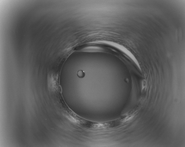 X0000057060239200509161500