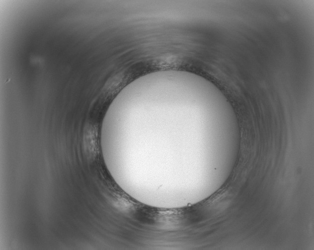 X0000057060240200509161500