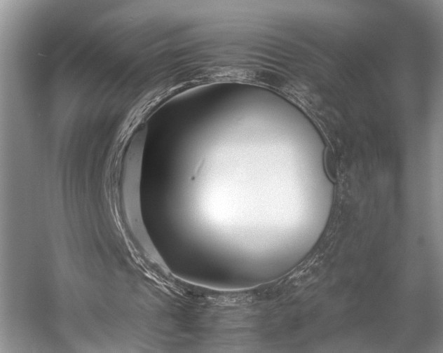 X0000057060241200509161459