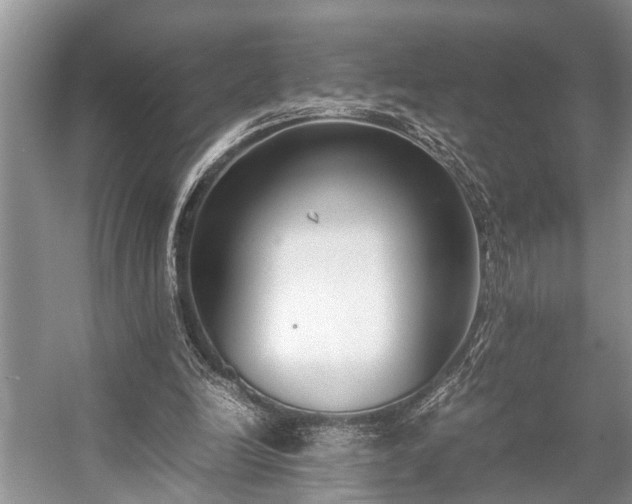 X0000057060246200509161459